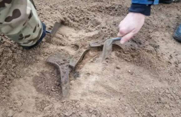 Вдало прогулявся. Польський археолог-аматор знайшов у лісі п’ять рідкісних сокир бронзового століття