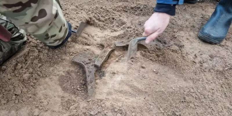 Вдало прогулявся. Польський археолог-аматор знайшов у лісі п’ять рідкісних сокир бронзового століття
