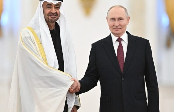 Путин пошутил с президентом ОАЭ насчет подаренной ранее куртки