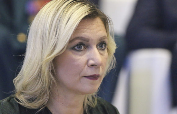 Захарова высмеяла Макрона за сравнение НАТО с лягушкой
