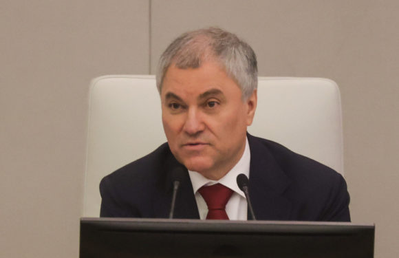 Володин анонсировал мартовские законы: от борьбы с мошенниками до новых правил для мигрантов