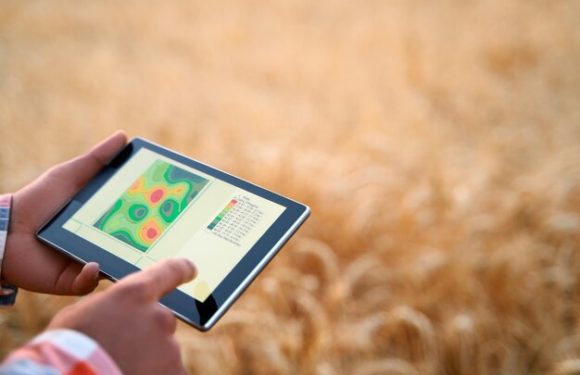 Haystack app лучший инструмент управления задачами