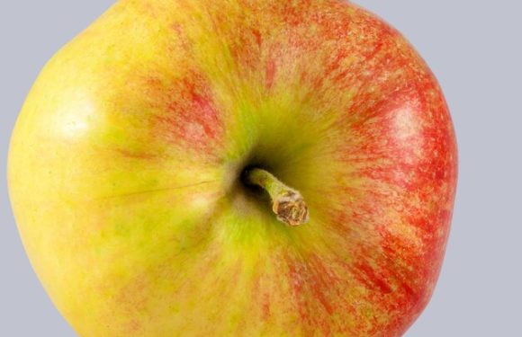 Apple запатентовала новый тип кабелей для устройств