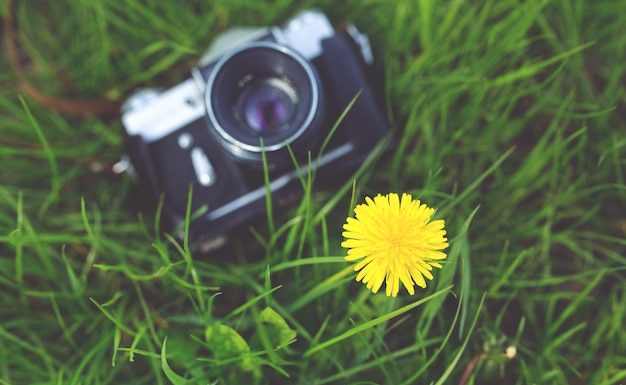 Фотографии дикой природы мир природы награды 2020
