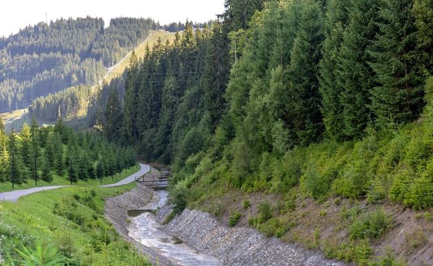 Почему нельзя смывать в унитаз вещи и отходы