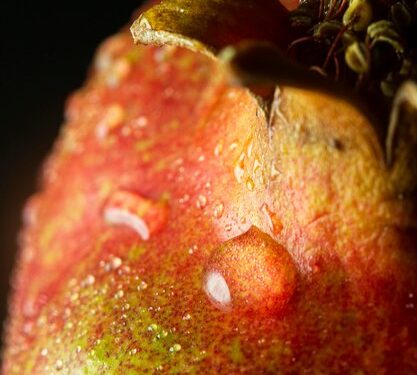Первый электромобиль Apple все детали и особенности