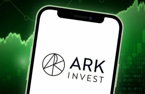 Компания Ark Invest Кэти Вуд купила акции Circle Internet Group и SpaceX