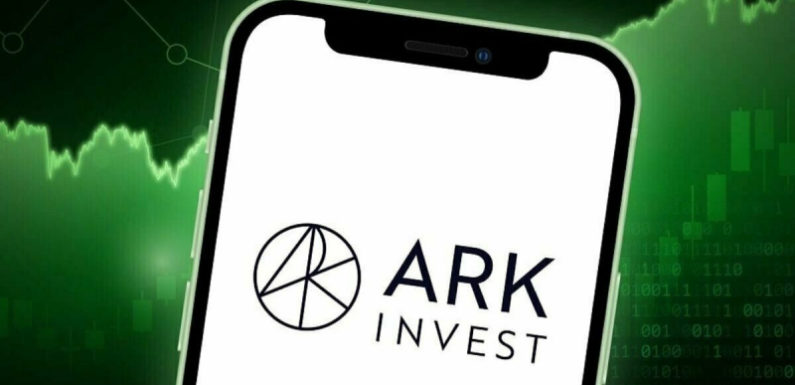 Компания Ark Invest Кэти Вуд купила акции Circle Internet Group и SpaceX