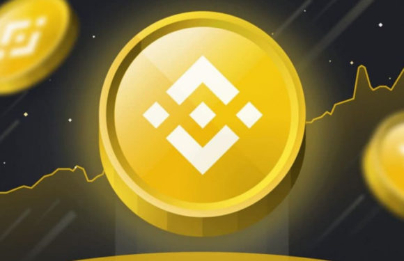 Начался обратный отсчёт до обновления сети BNB Chain под названием Pasteur
