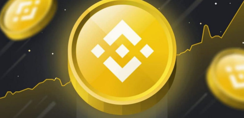 Начался обратный отсчёт до обновления сети BNB Chain под названием Pasteur